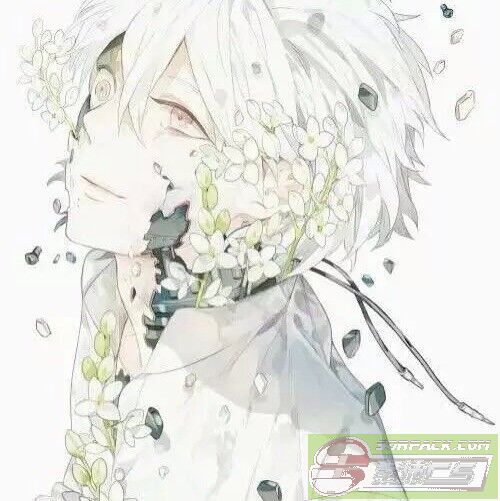 ͼƬ��������´��ڴ򿪲鿴