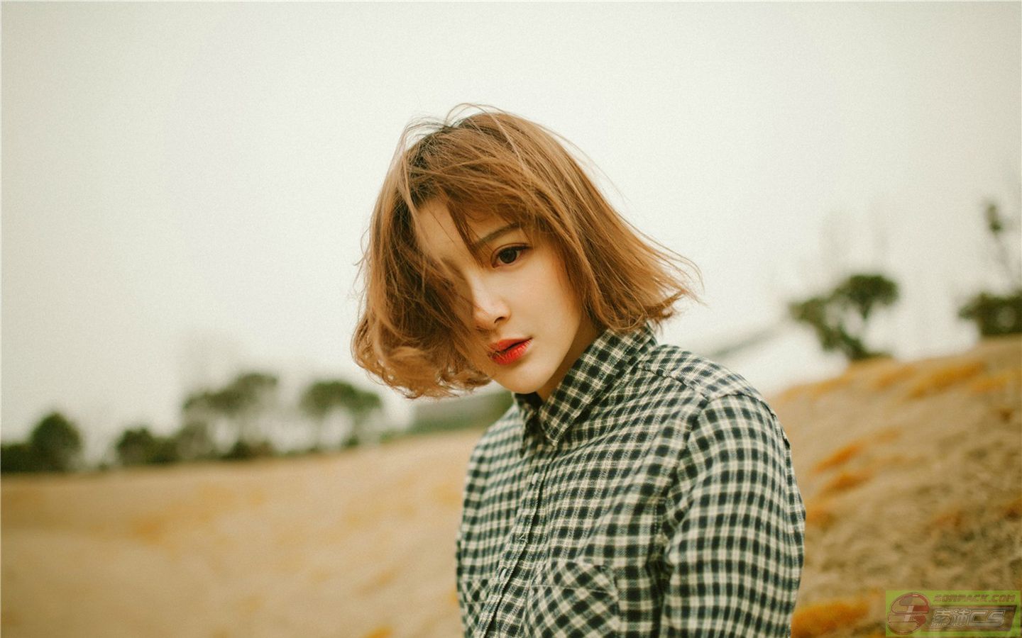 ͼƬ��������´��ڴ򿪲鿴